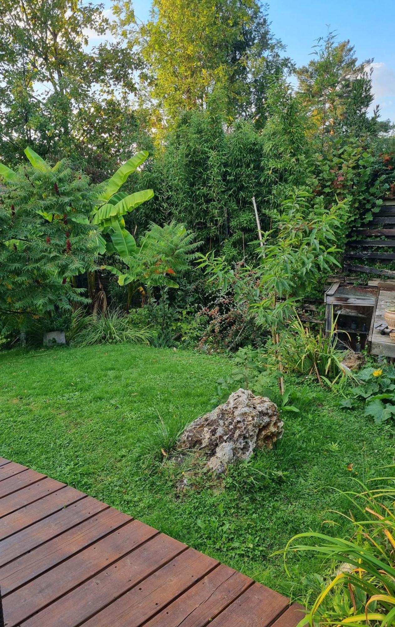 Belle Maison D'Art Verdoyante & Jardin Сен-Реми-ле-Шеврёз Экстерьер фото